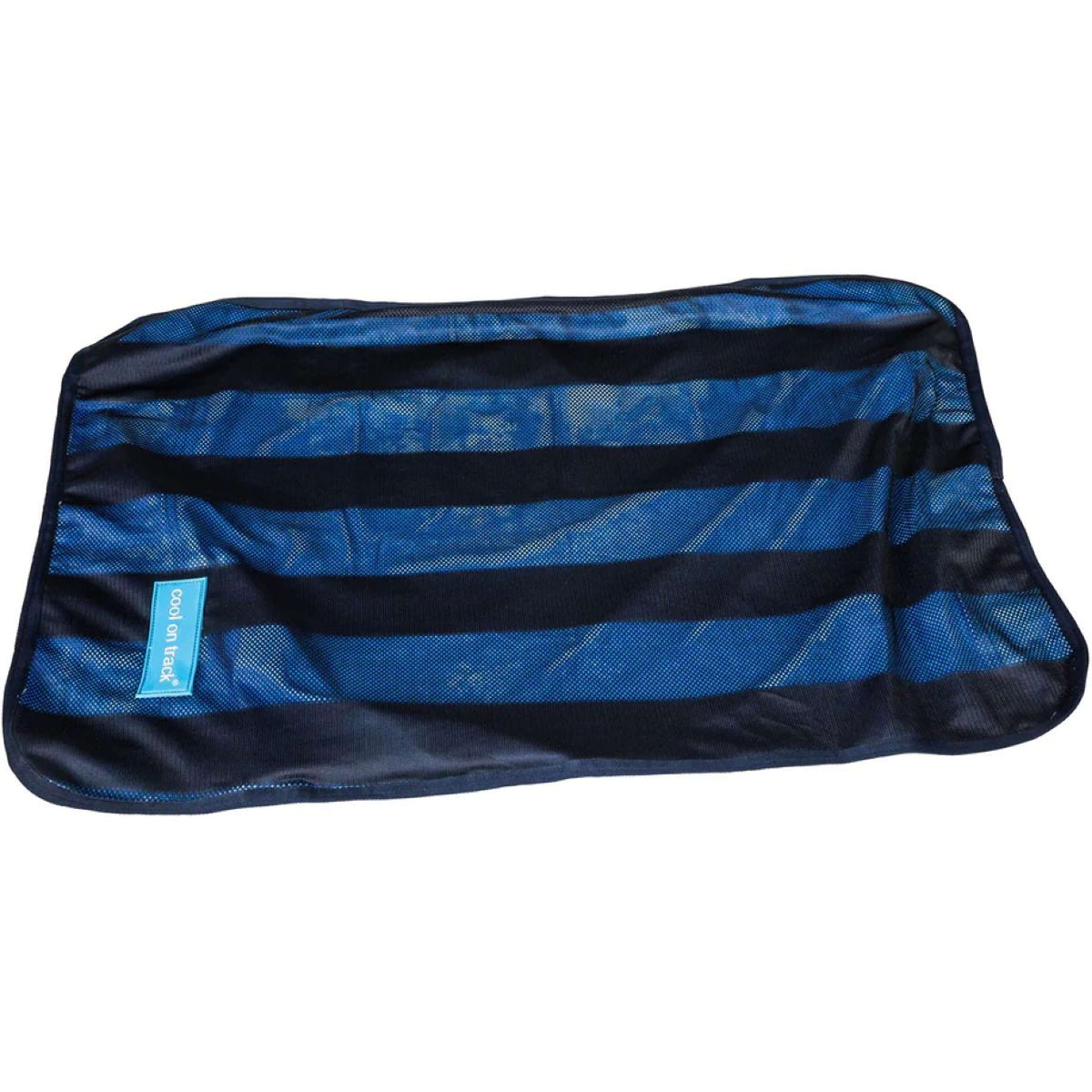 Back on Track Cooling Towel Blau