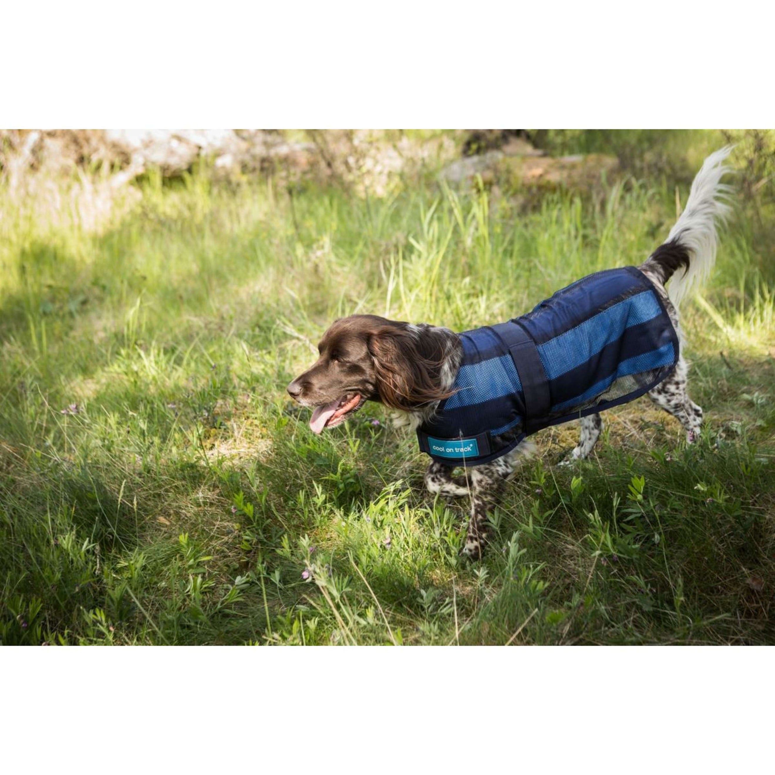 Cool on Track Hundejacke 2.0 Blau Cool on Track Hundejacke 2.0 Blau