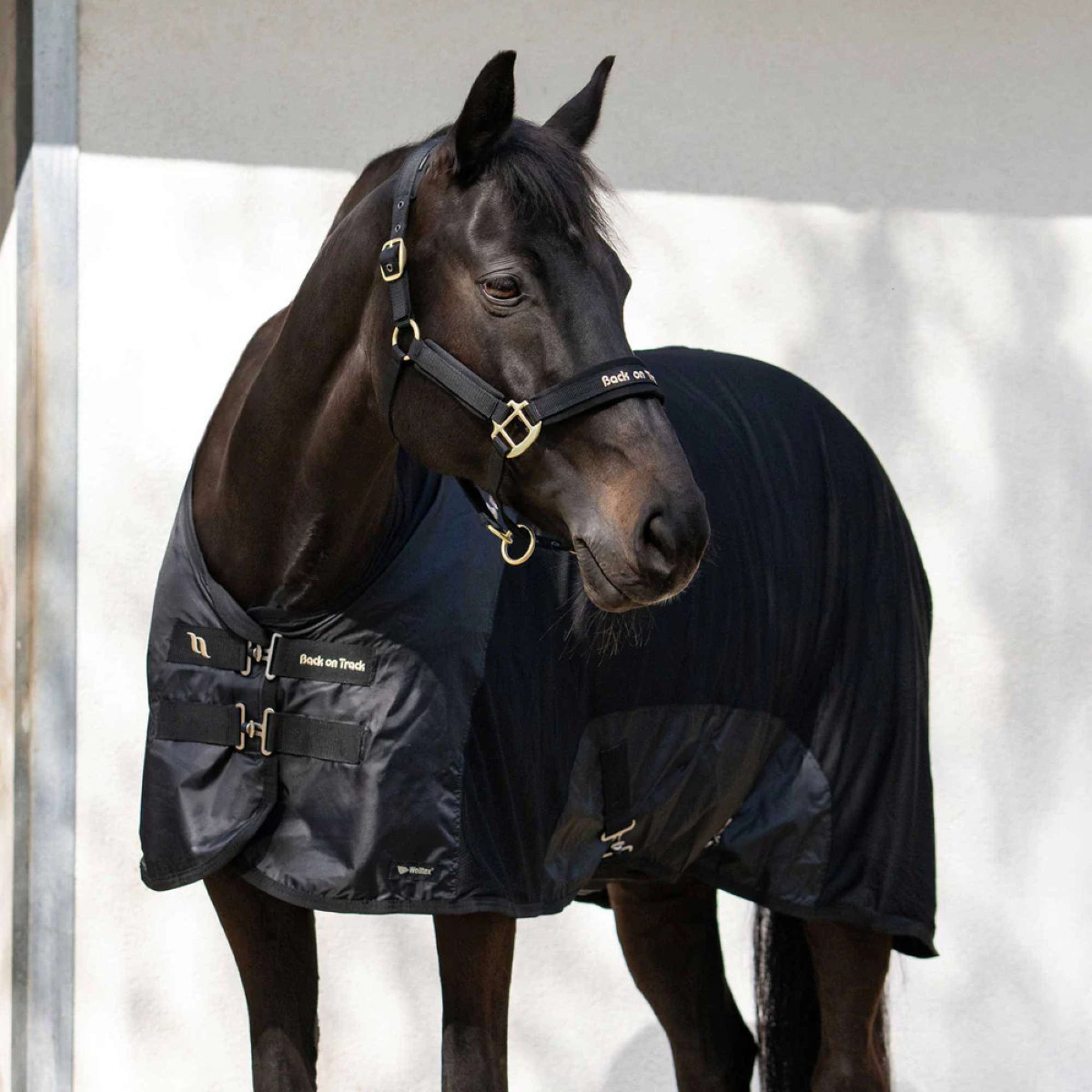 Back on Track Feinmaschig Decke Royal Deluxe Schwarz