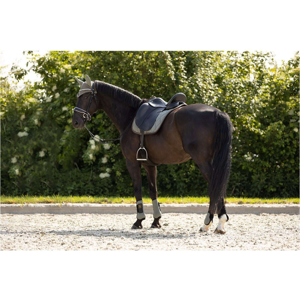 BR Gamaschen Event Neopreen Voering Mulled Basil