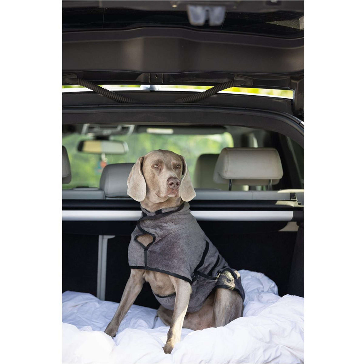 BR Bademantel für Hunde Grey Asphalt