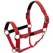 BR Halfter AW25 Jade Tango Rot