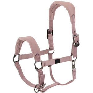 BR Halfter AW25 Jessy Nirvana