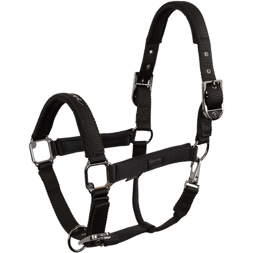 BR Halfter AW25 Eevolv Josh Meteorite BR Halfter AW25 Eevolv Josh Meteorite