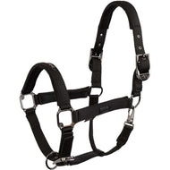 BR Halfter AW25 Eevolv Josh Meteorite