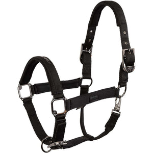 BR Halfter AW25 Eevolv Josh Meteorite