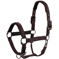 BR Halfter AW25 Eevolv Josh Raisin