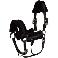 BR Halfter AW25 Eevolv Jonne Meteorite