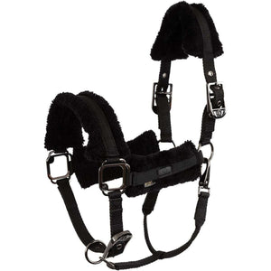 BR Halfter AW25 Eevolv Jonne Meteorite