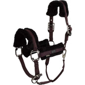 BR Halfter AW25 Eevolv Jonne Raisin