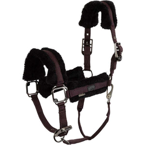 BR Halfter AW25 Eevolv Jonne Raisin