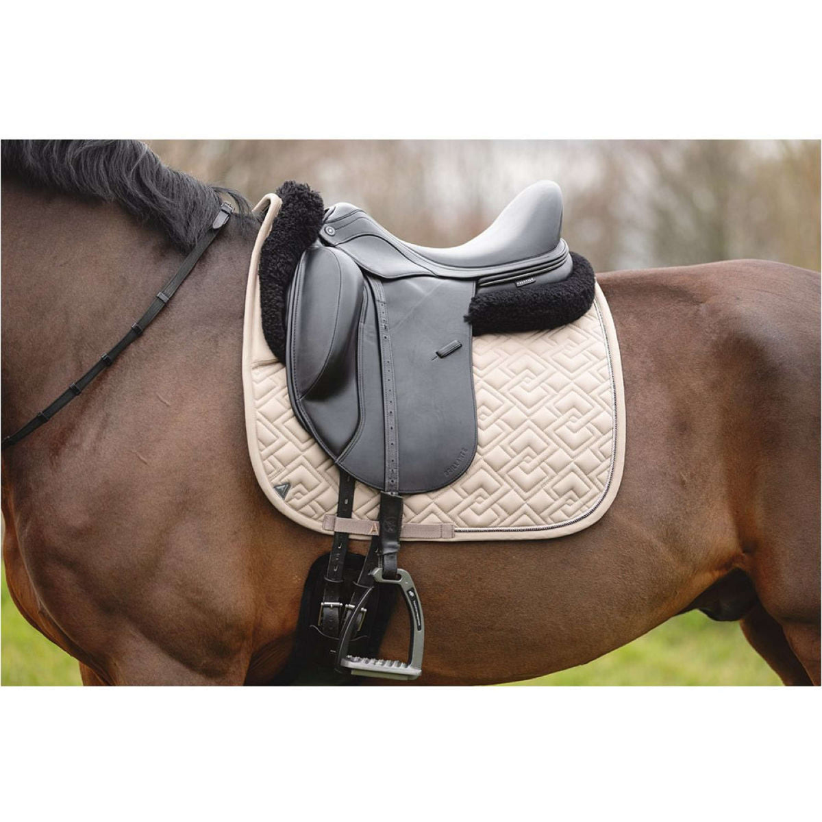 ANKY Schabracke Professional XB25001 3C Moon Rock