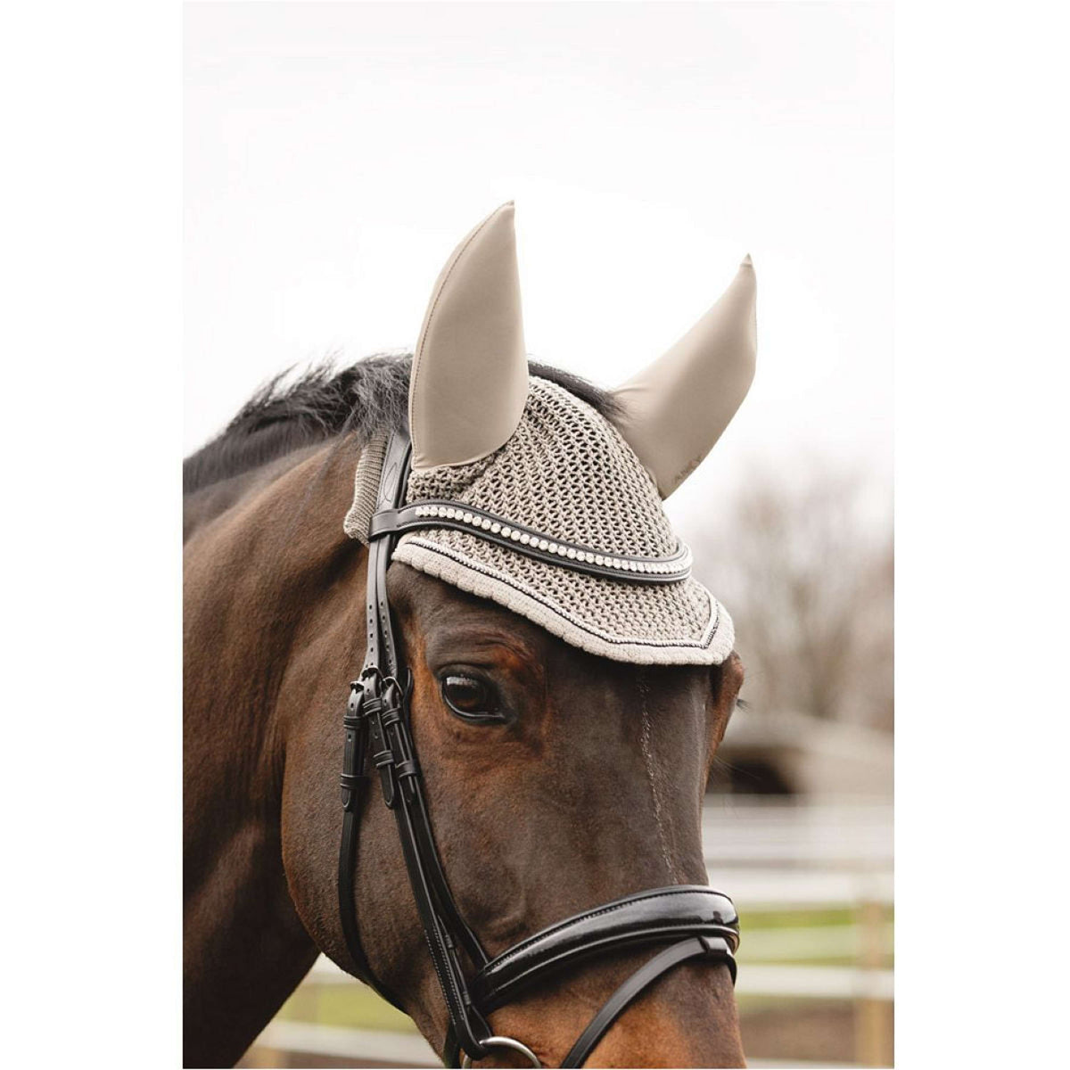 ANKY Fliegenhaube ATB25007 3C Moon Rock