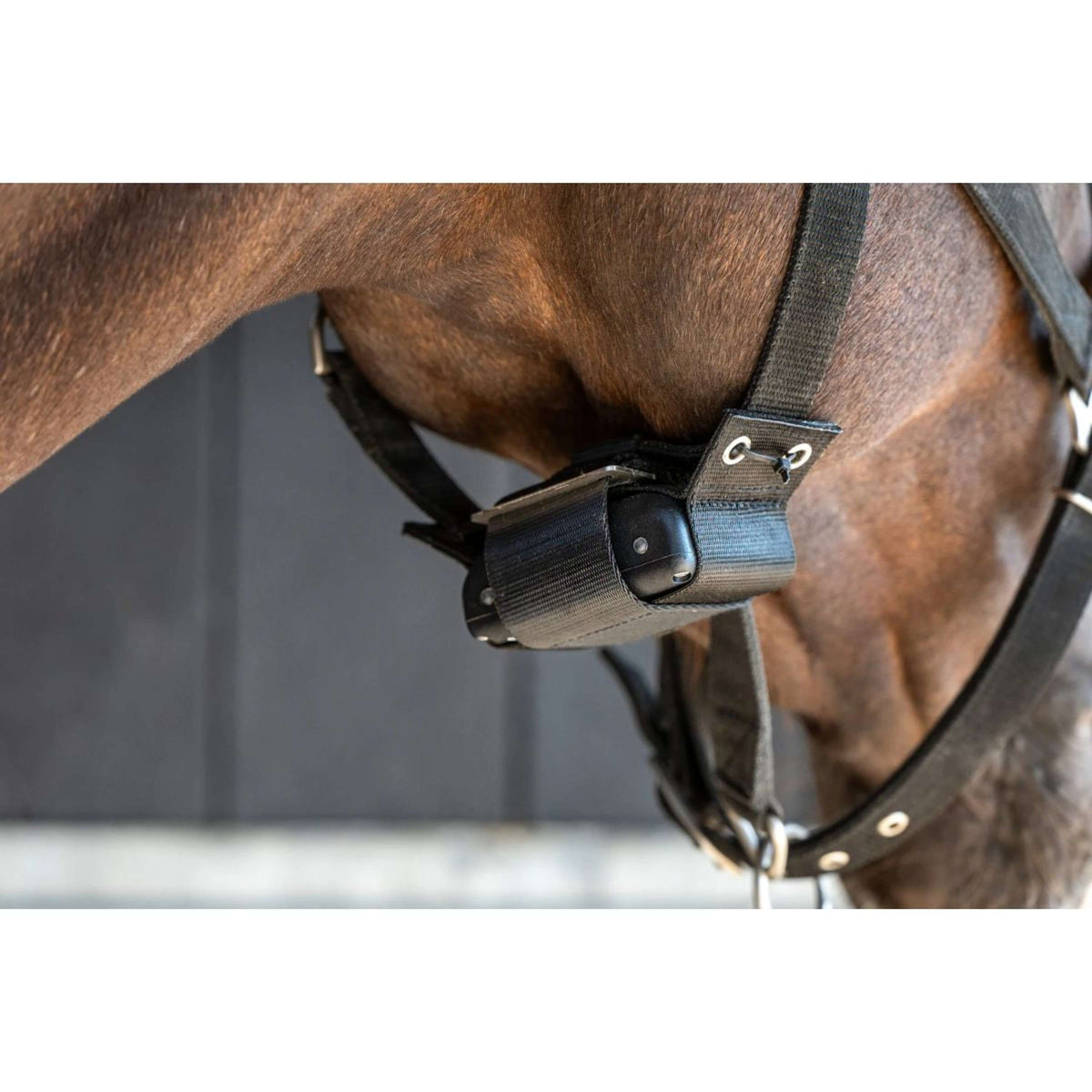 Birth Alarm Premium Complete