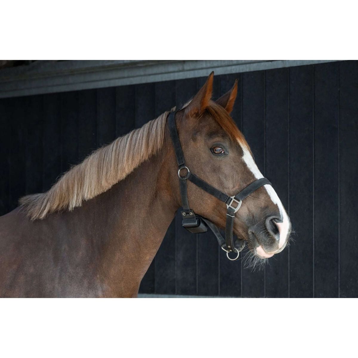 Birth Alarm Premium Complete