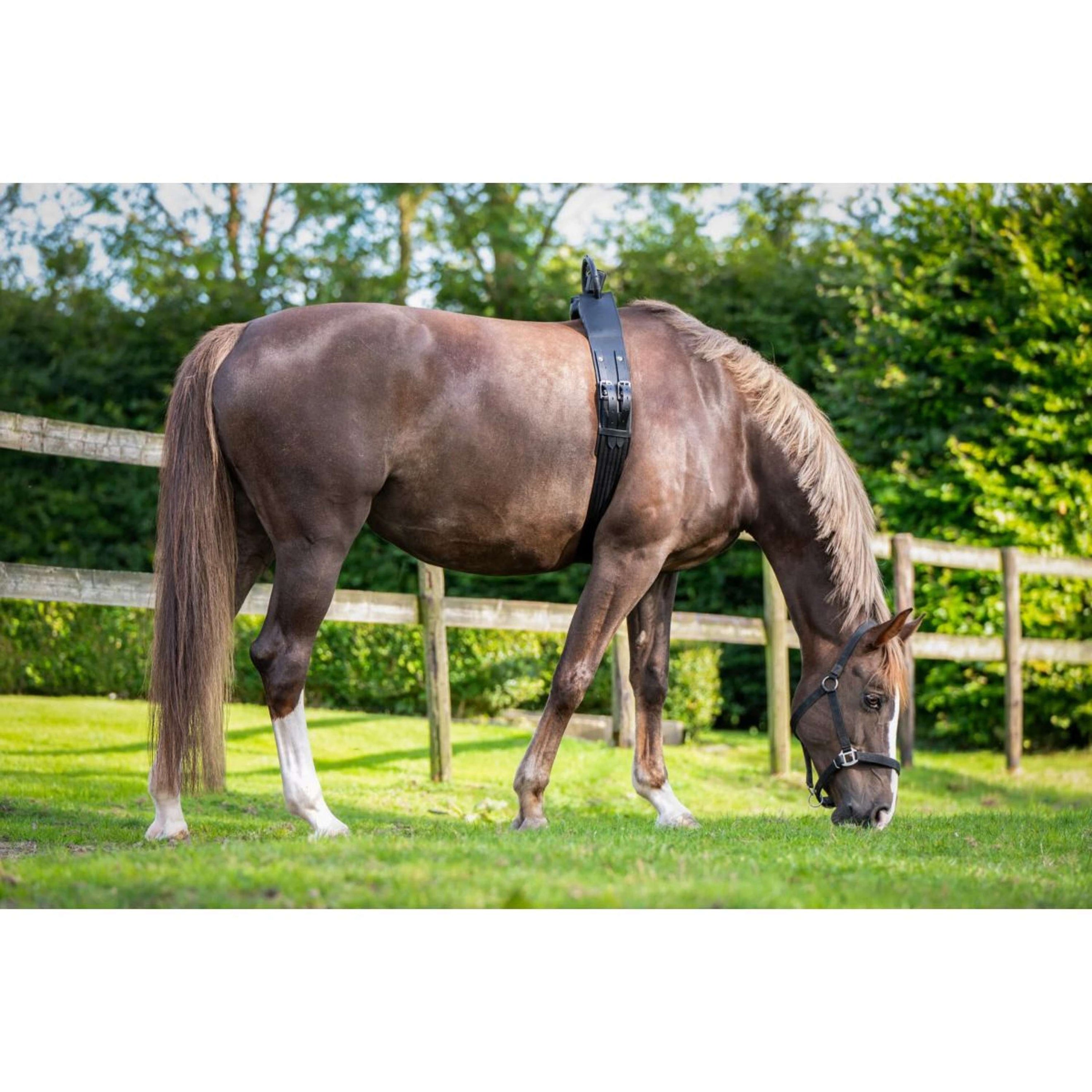 Birth Alarm Premium Complete