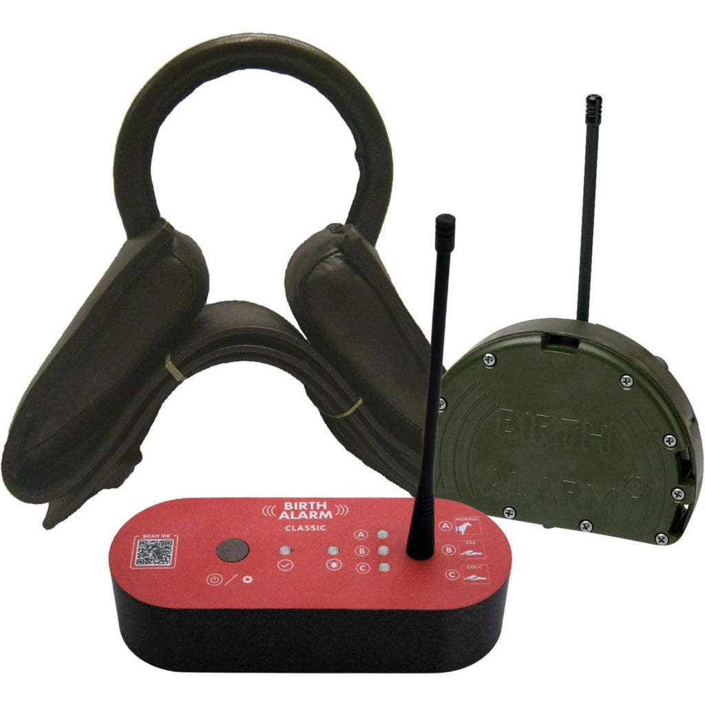 Birth Alarm Classic Komplett