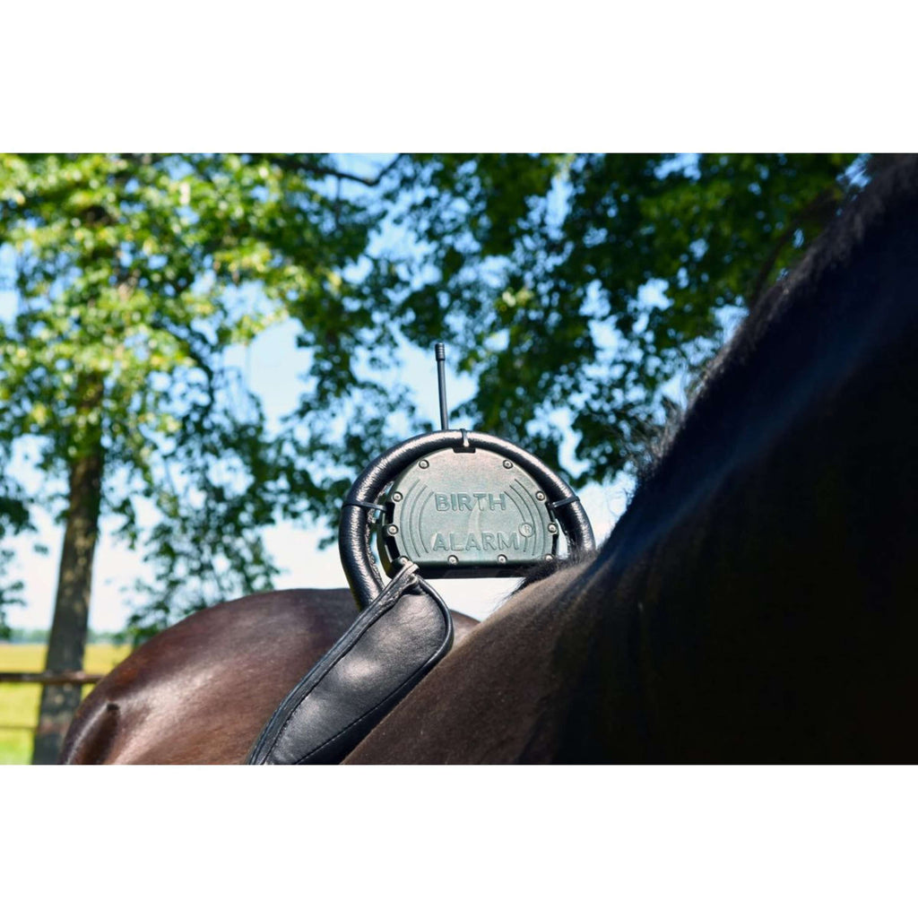 Birth Alarm Classic Komplett