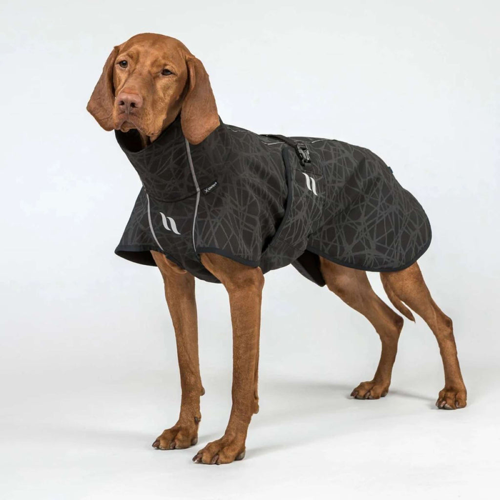 Back on Track Hundejacke BARK Schwarz/Grau