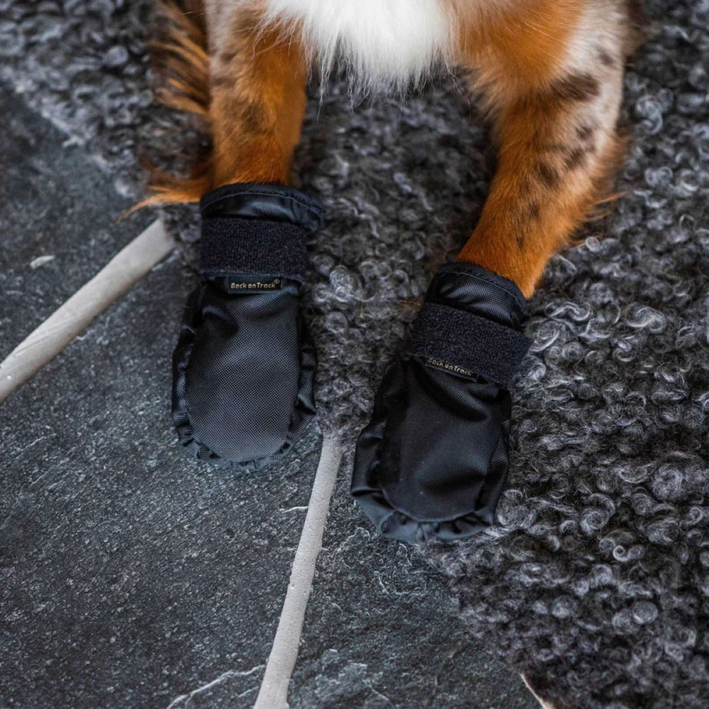Back on Track Hundeschuhe Koda Schwarz
