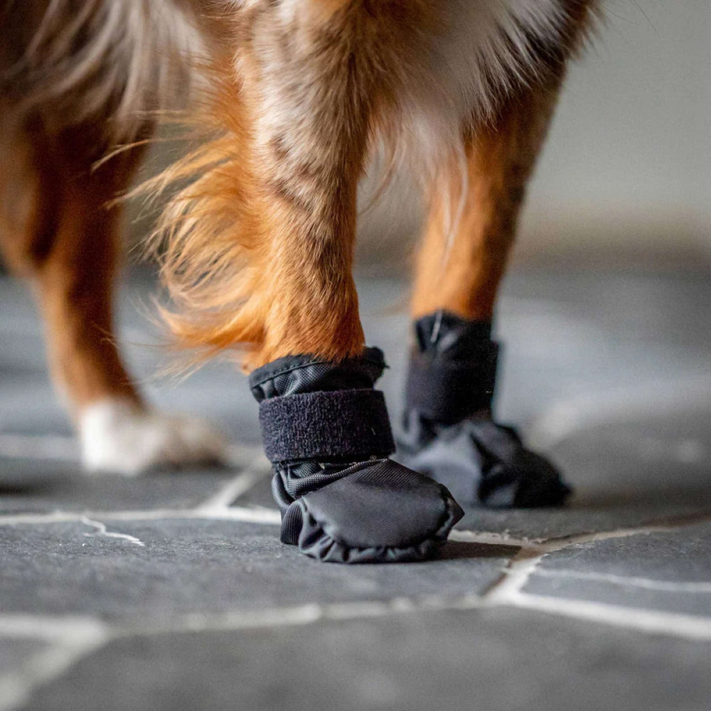 Back on Track Hundeschuhe Koda Schwarz