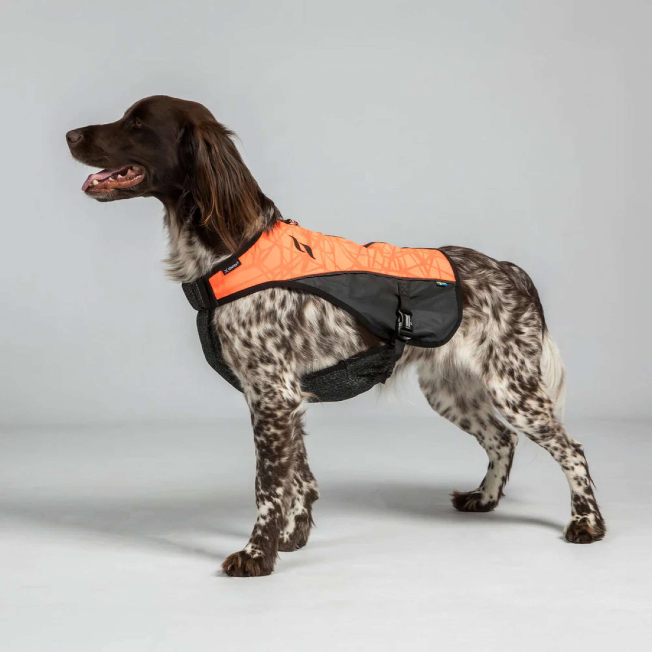 Back on Track Hundejacke TRAKK Reflektierend Orange