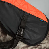 Back on Track Hundejacke TRAKK Reflektierend Orange
