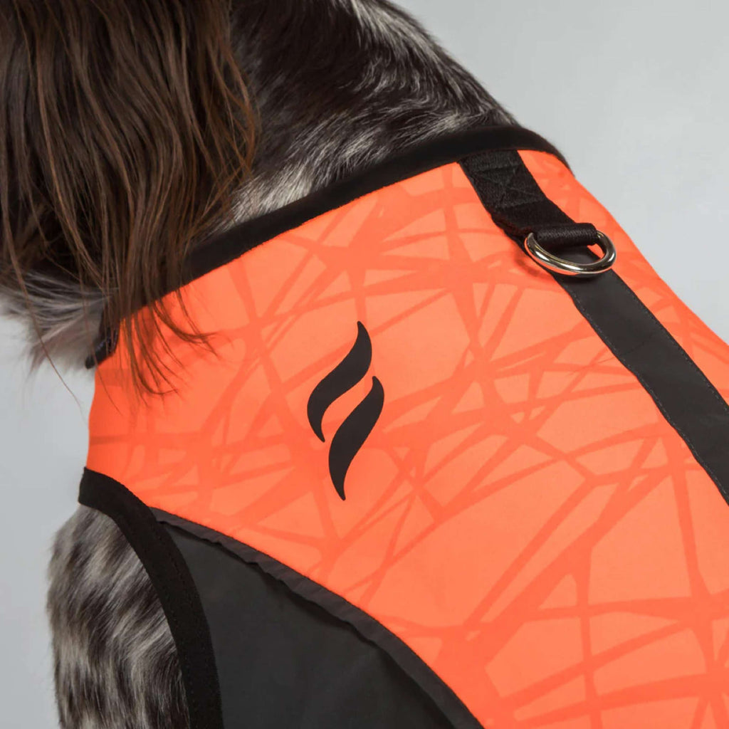 Back on Track Hundejacke TRAKK Reflektierend Orange