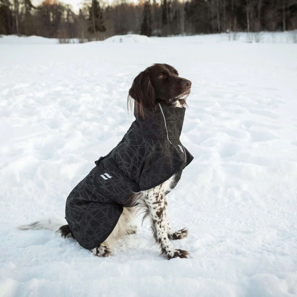 Back on Track Hundejacke BARK Schwarz/Grau