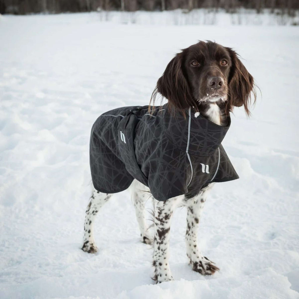 Back on Track Hundejacke BARK Schwarz/Grau