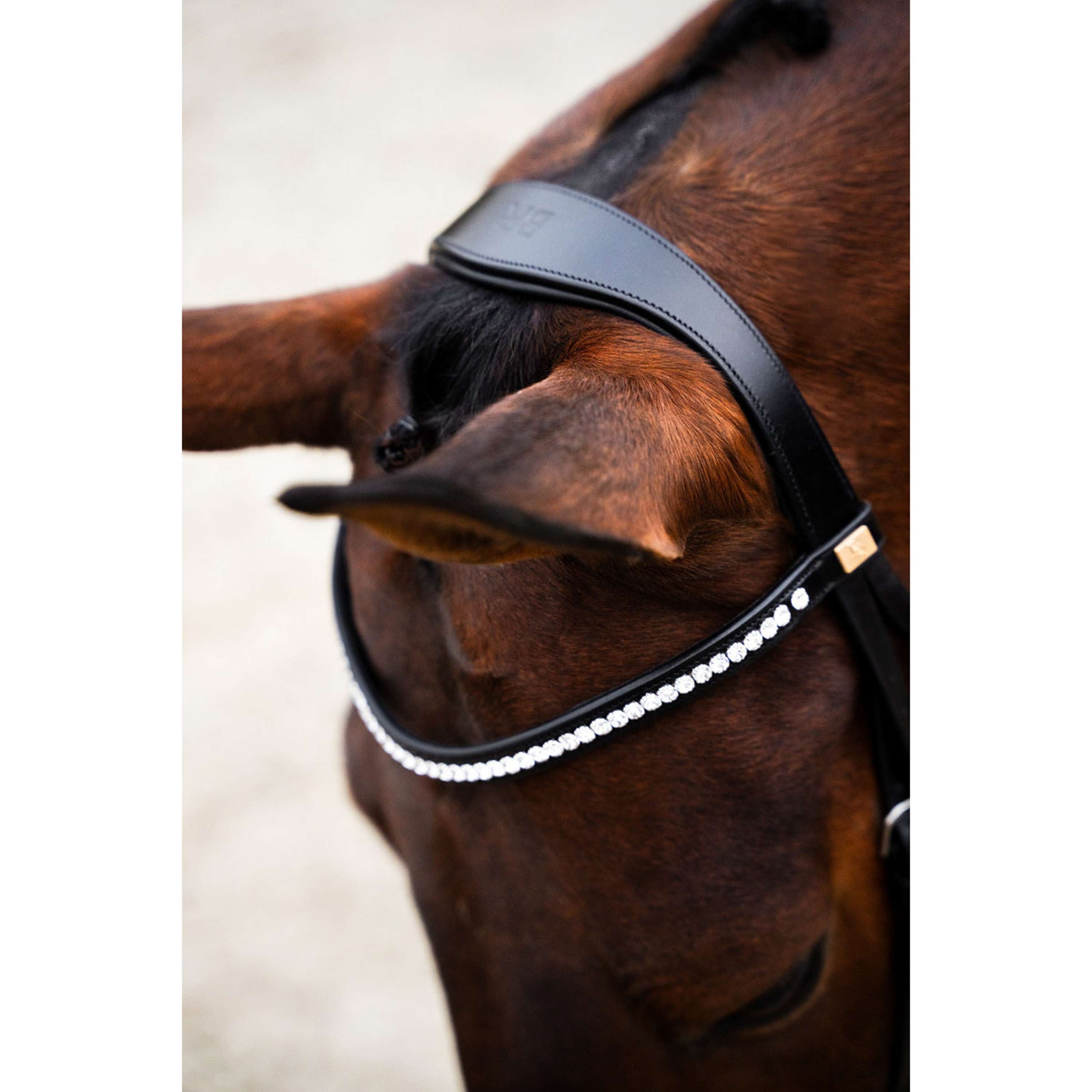 BR Zaum Southall Schwarz/Silber