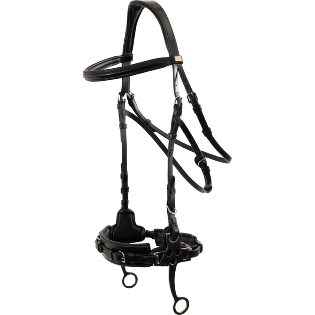 BR Hackamore Thornbury Schwarz/Silber