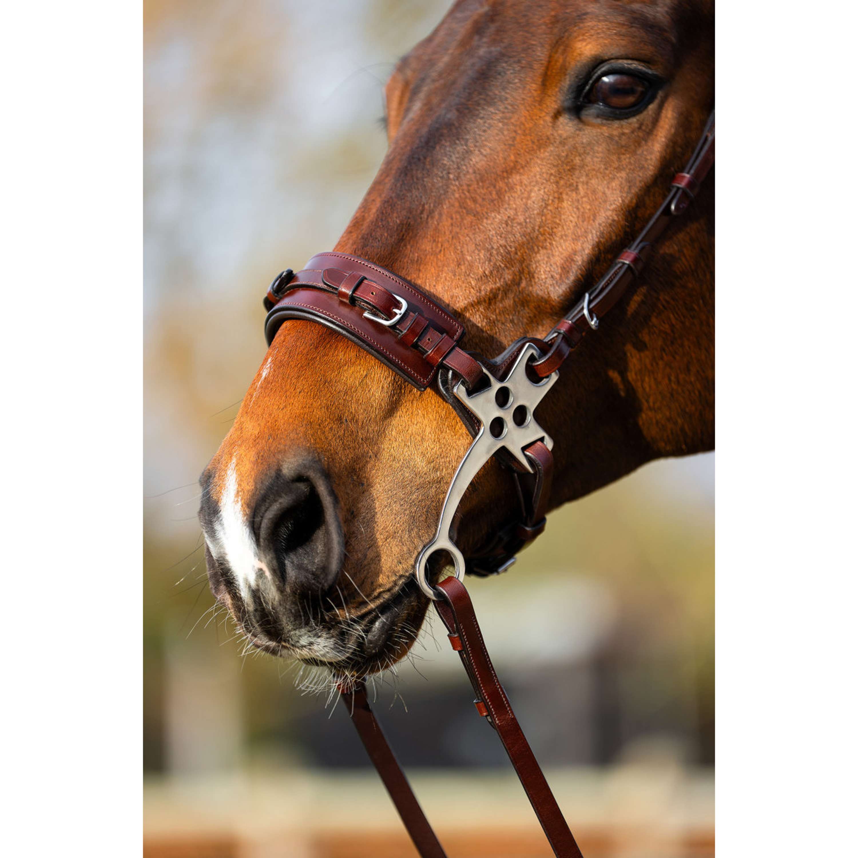 BR Hackamore Thornbury Oak/Silber
