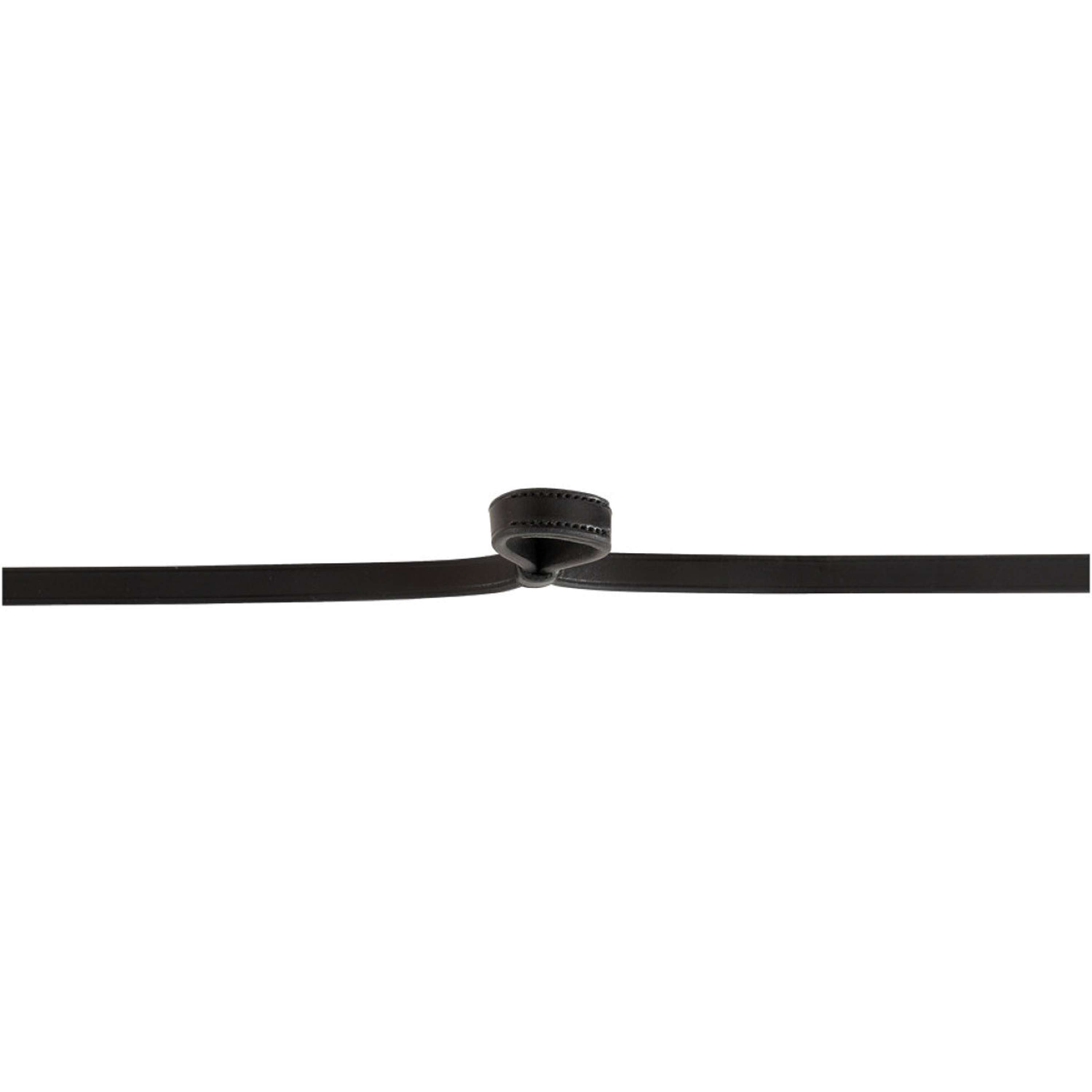 BR Kandarenzügel Leder Geschlossen 13mm Blind Schwarz/Silber