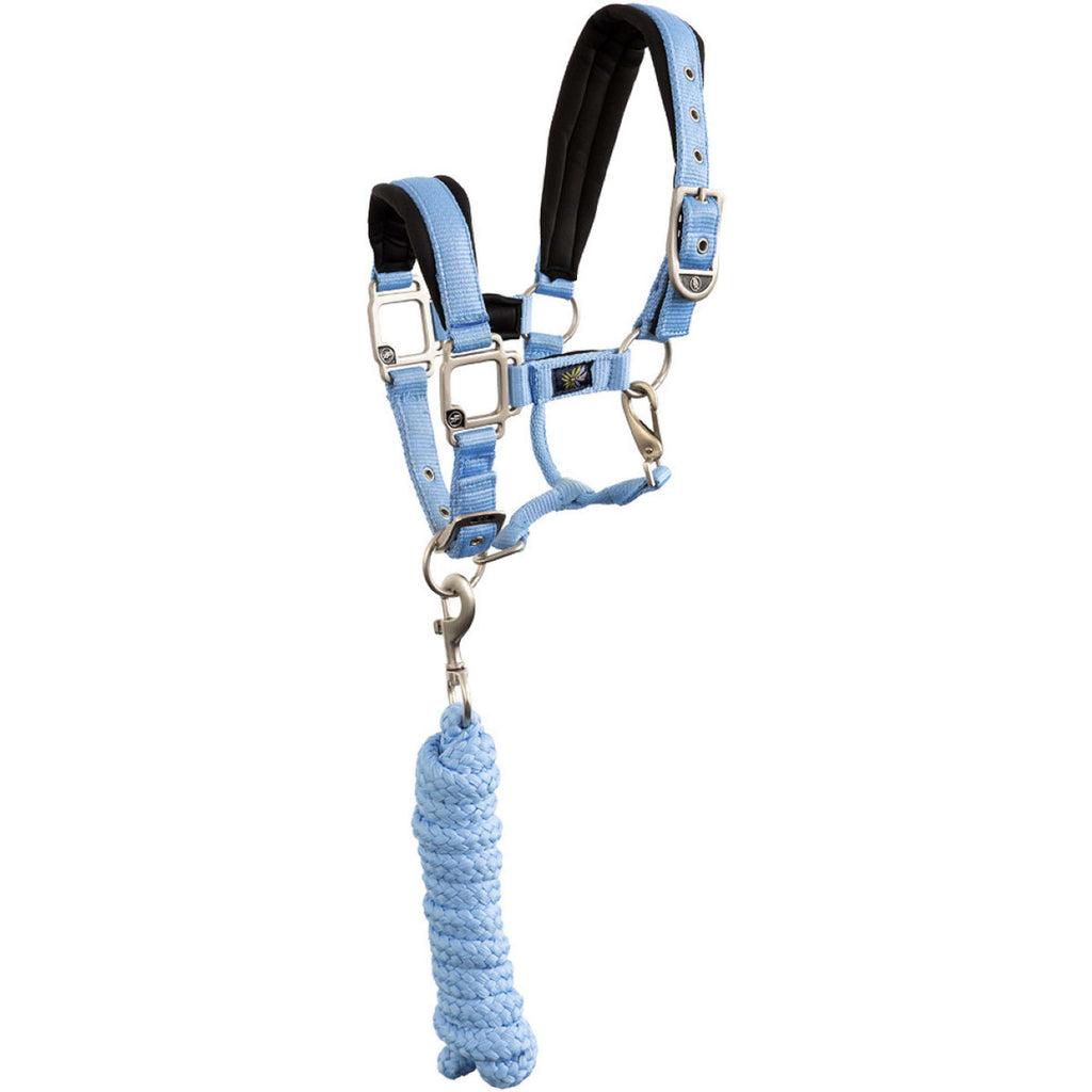 BR Halfterset Mini Horse Little Blue