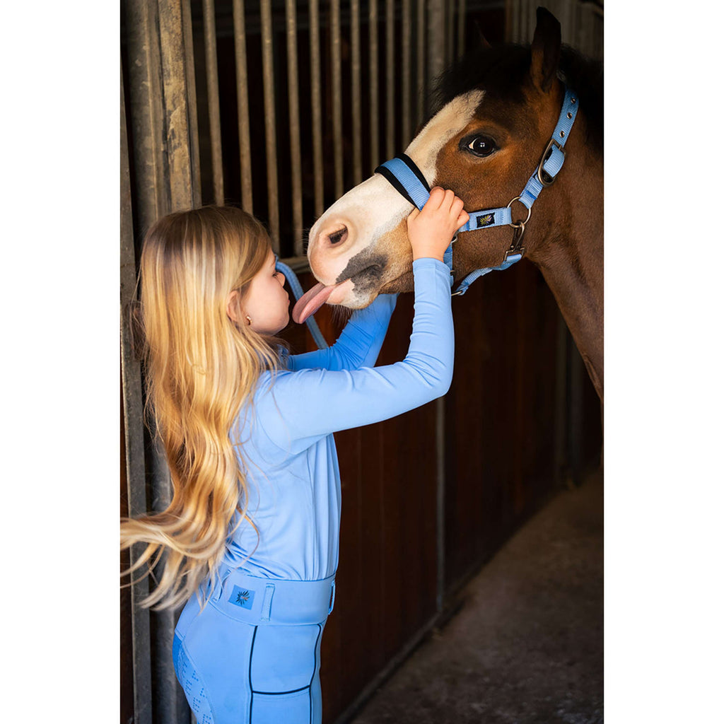 BR Halfterset Mini Horse Little Blue