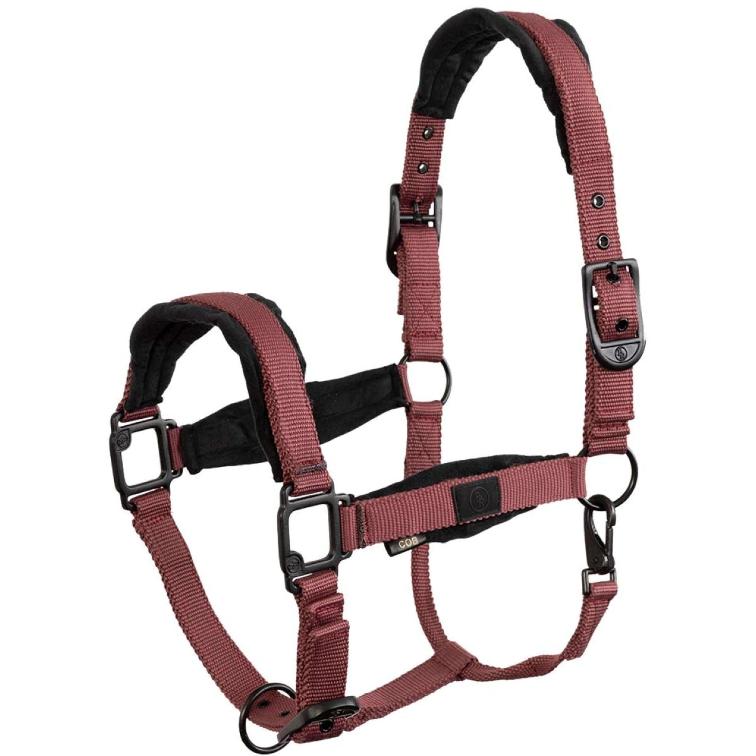 BR Halfter Loran Maroon BR Halfter Loran Maroon