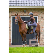 BR Reithelm Omega painted Schwarz/Chrom