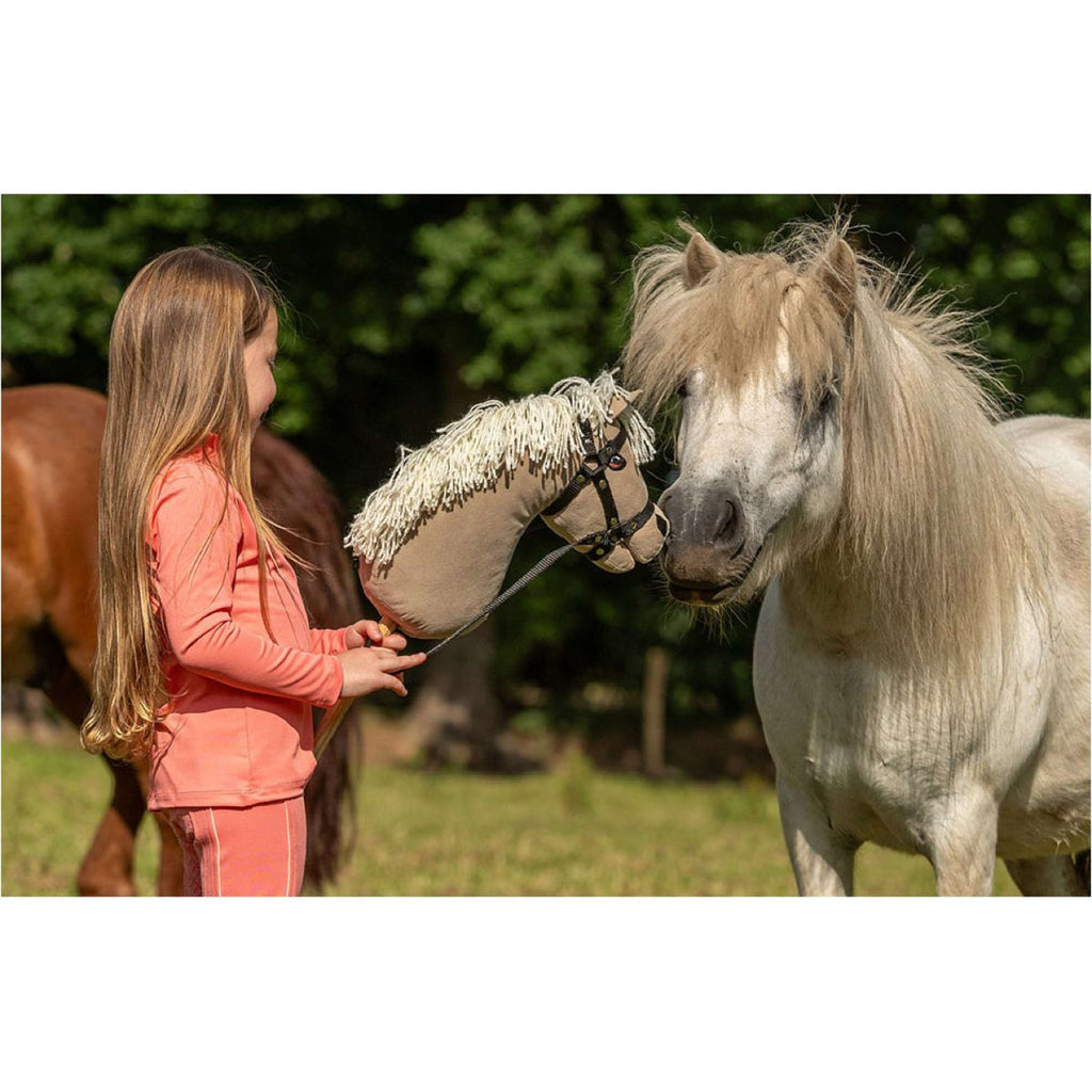BR Mini Horse Steckenpferd Beige