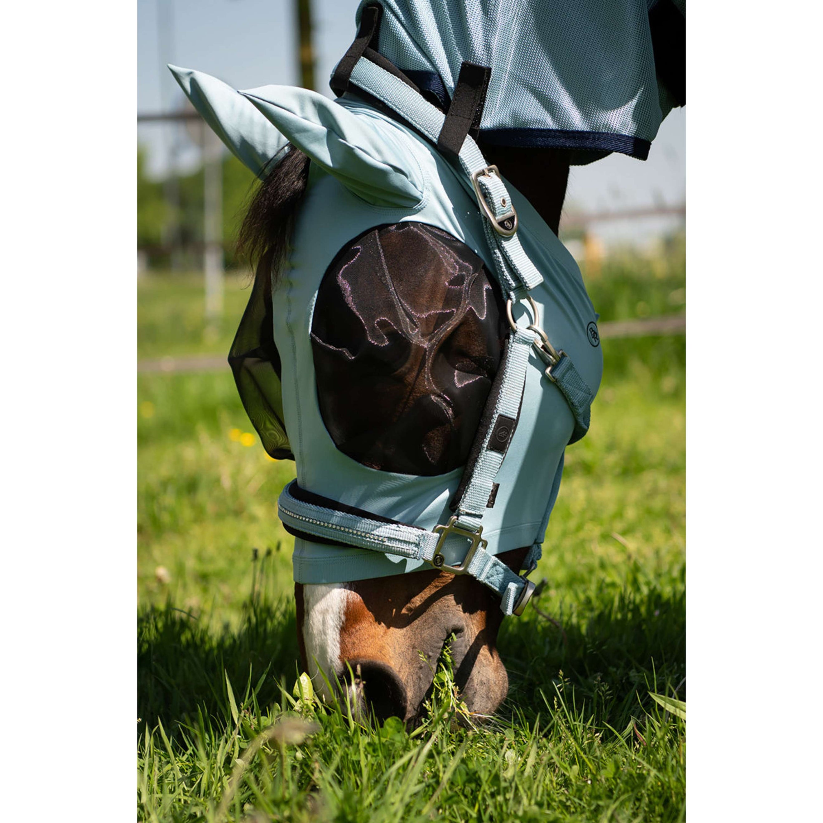 BR Fliegenmaske Lycra mit Ohren Tourmaline BR Fliegenmaske Lycra mit Ohren Tourmaline