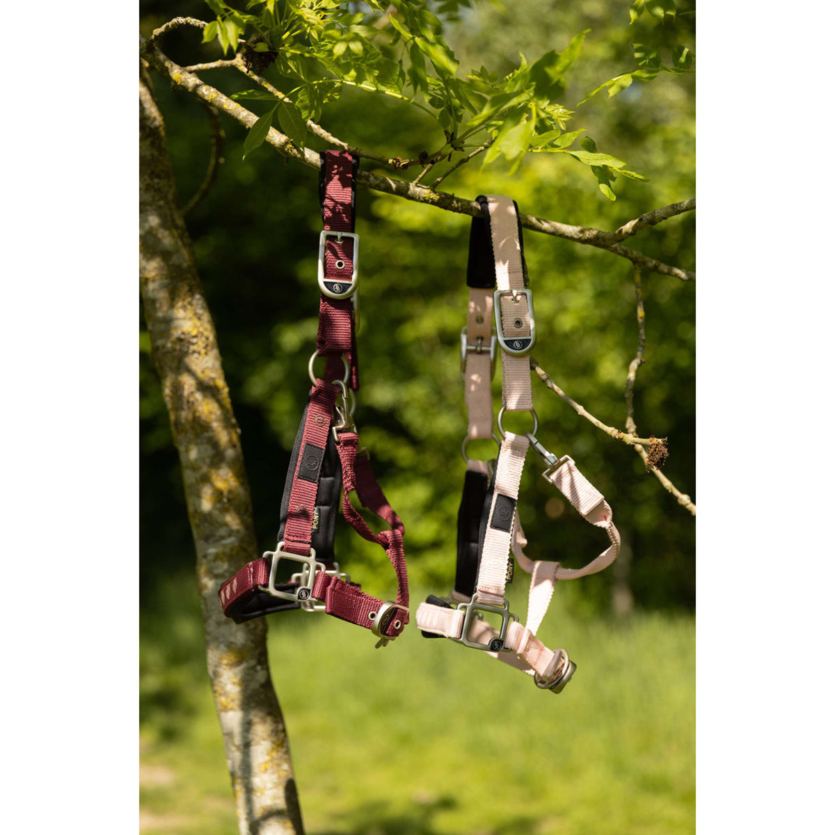 BR Halfter Eevolv Karin Lotus