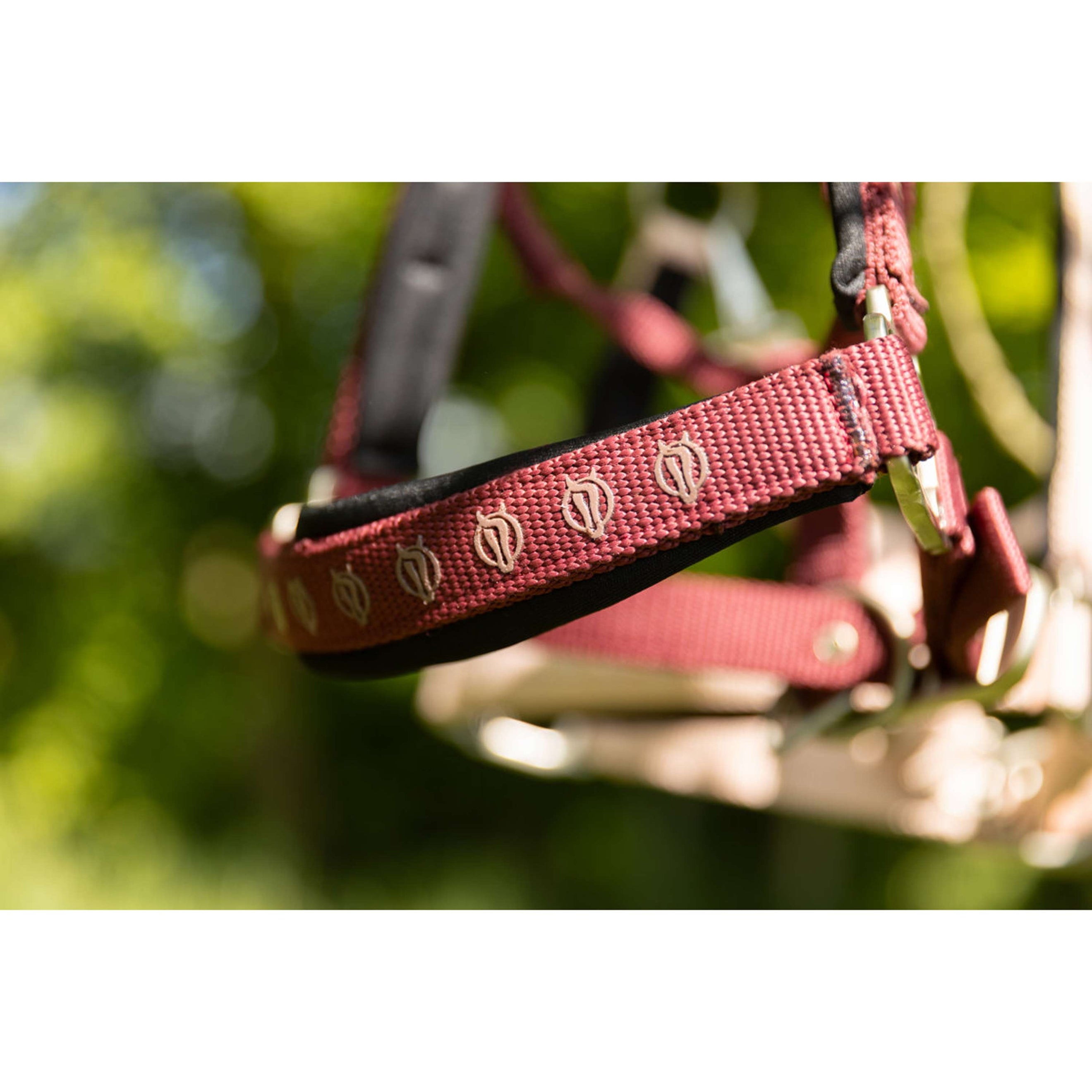 BR Halfter Eevolv Karin New Maroon BR Halfter Eevolv Karin New Maroon