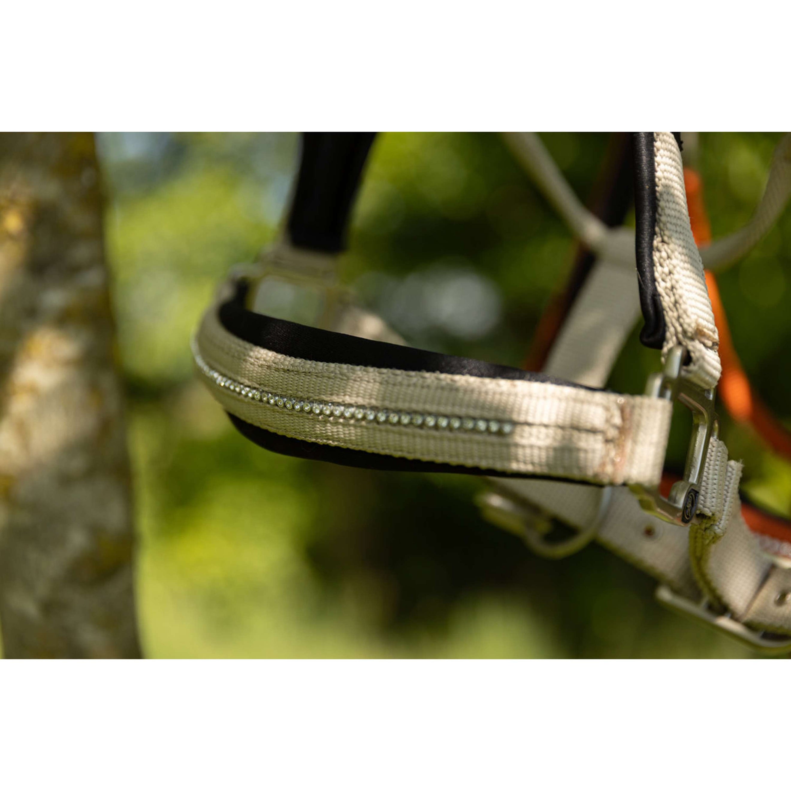 BR Halfter Kimberly Neopren Safari