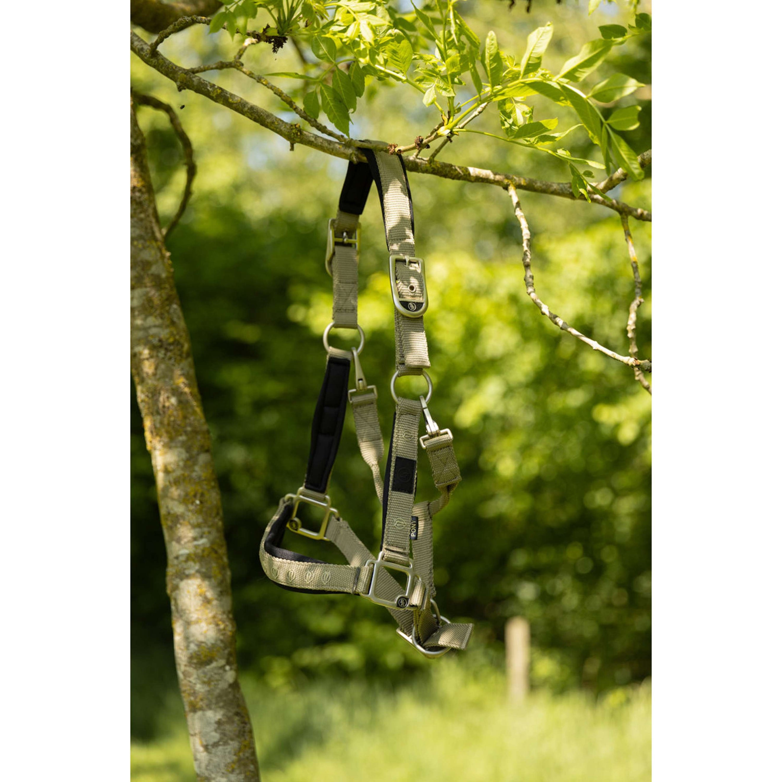 BR Halfter Eevolv Karin Mermaid