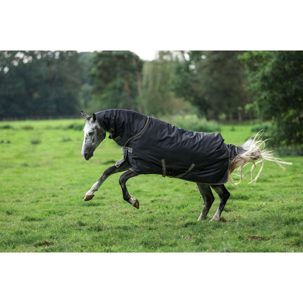 Bucas Regendecke Freedom Light Schwarz/Taupe