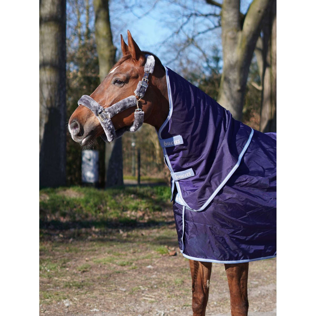 Bucas Atlantic Exclusive mit Halsteil Navy/Blau