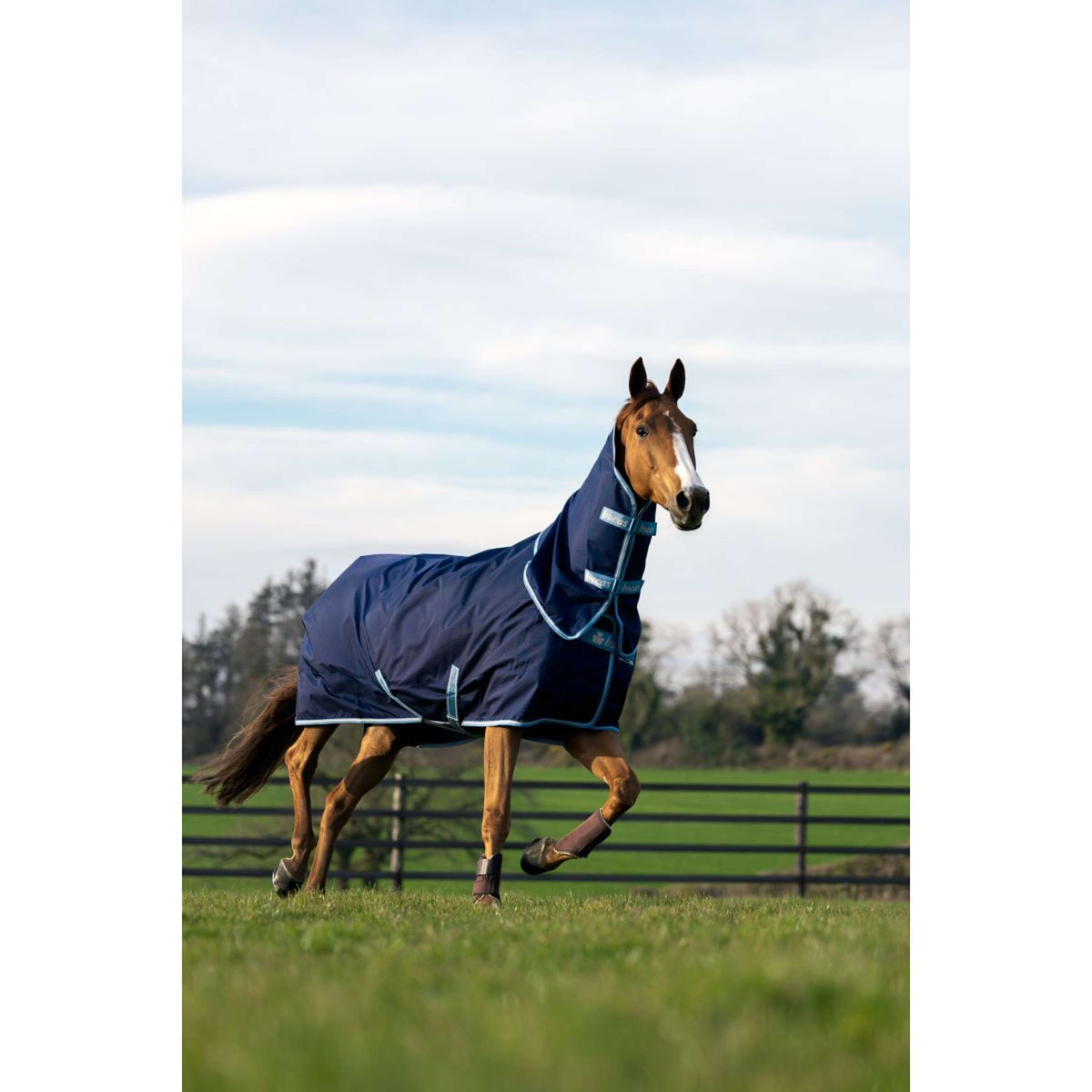 Bucas Atlantic Exclusive mit Halsteil Navy/Blau