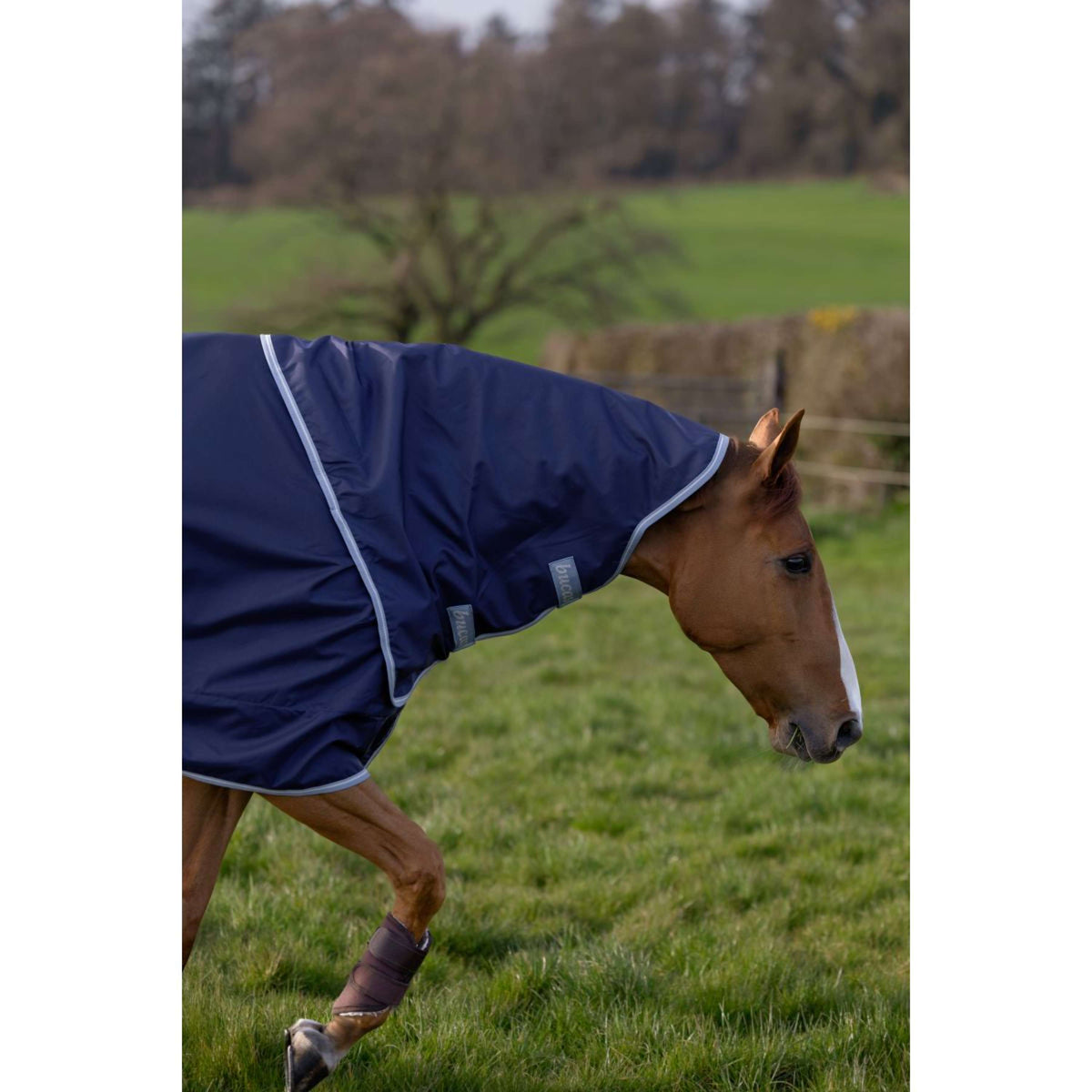 Bucas Atlantic Exclusive mit Halsteil Navy/Blau