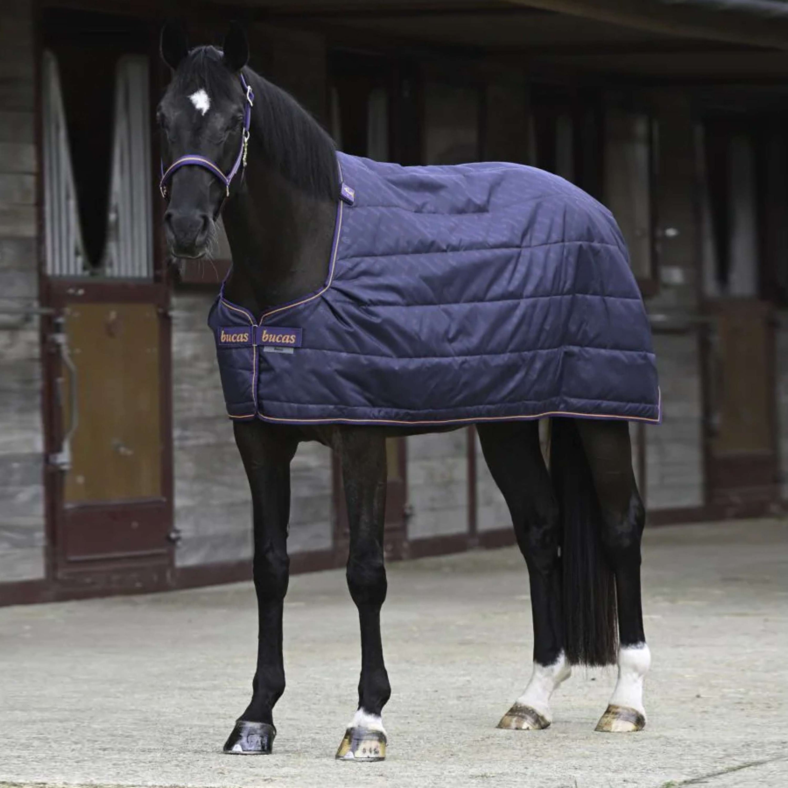 Bucas Therapy Liner Navy Orange Bucas Therapy Liner Navy Orange