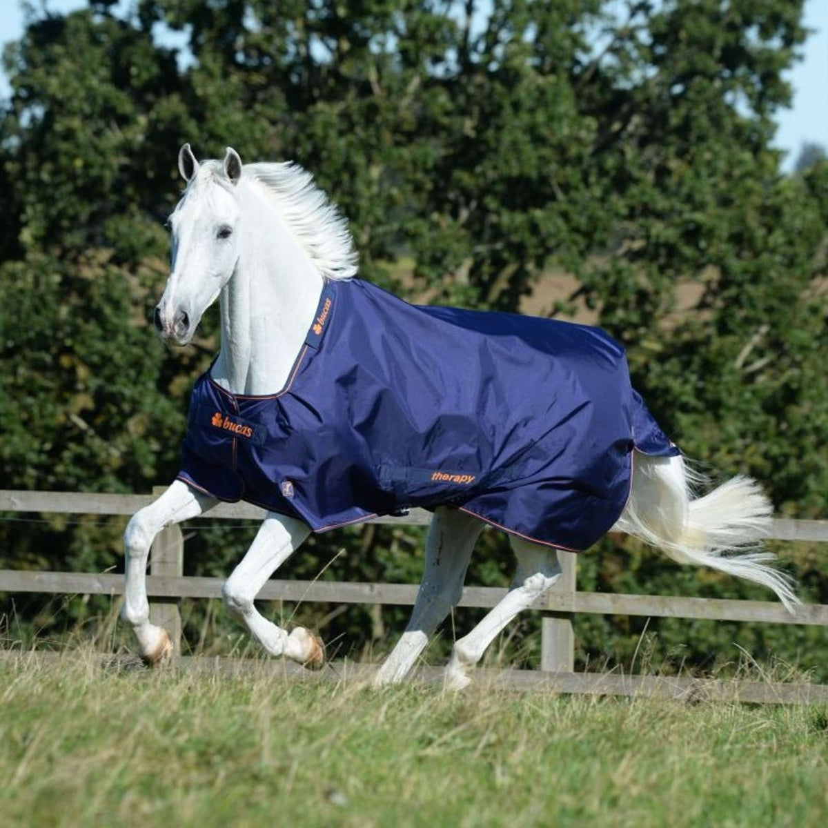 Bucas Therapy Turnout 150g Navy Orange